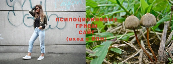не бодяженный Надым