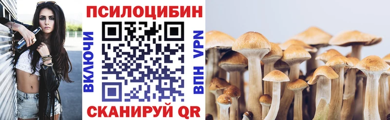 Купить закладки  Починок  Галлюциногенные грибы прущие грибы 